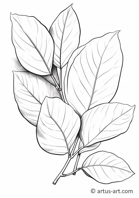 Persimmon Leaves Coloring Page